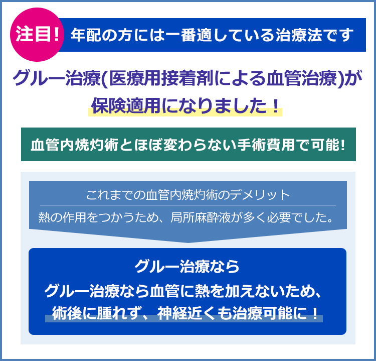 グルー治療(医療用接着剤による血管治療)を始めました